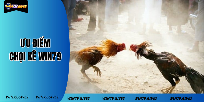 Ưu điểm làm nên chọi kê win79